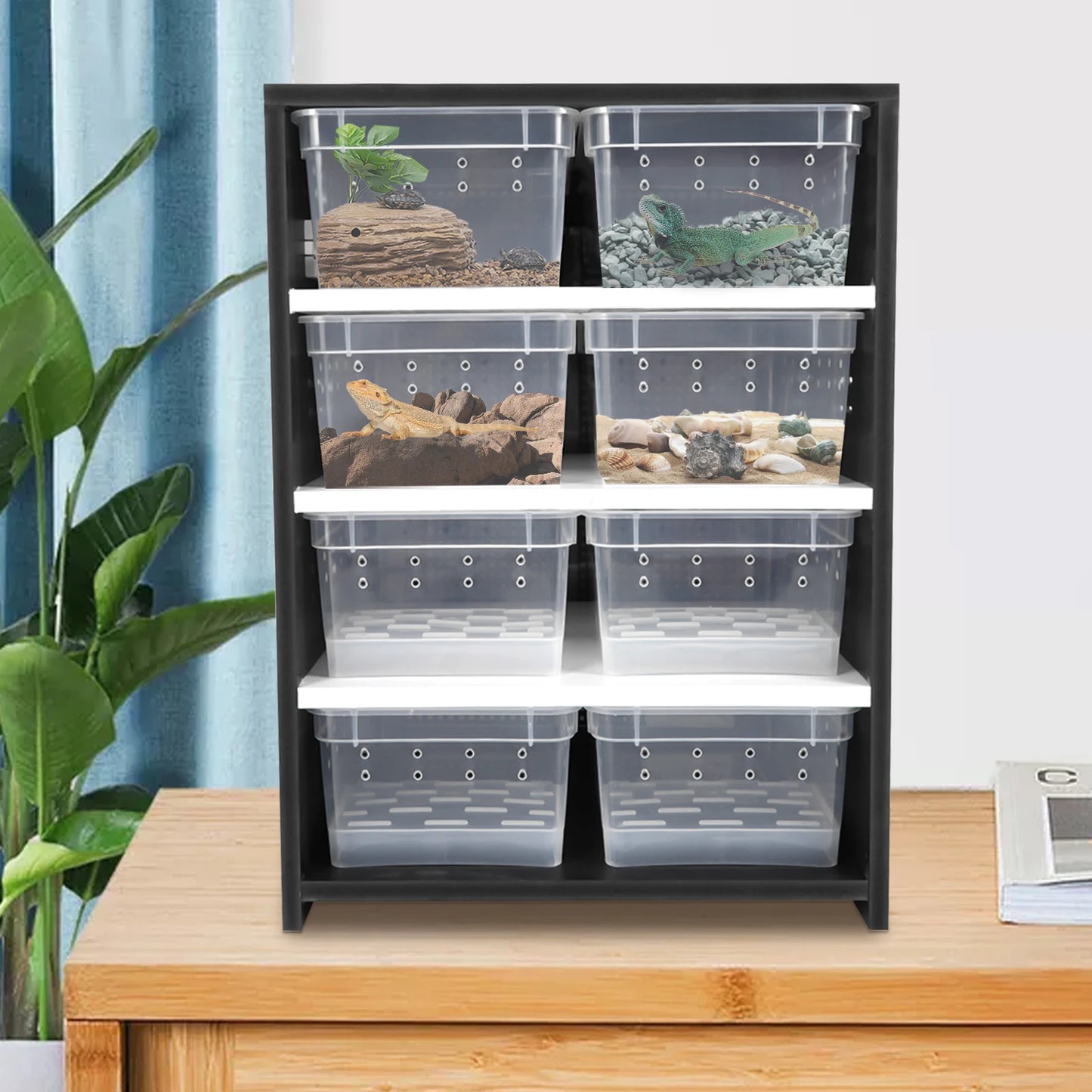 4Tier Reptile Breeding Tank Cabinet with Insect