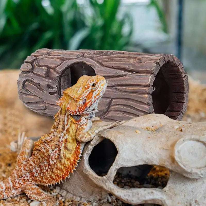 Reptile Hiding Cave