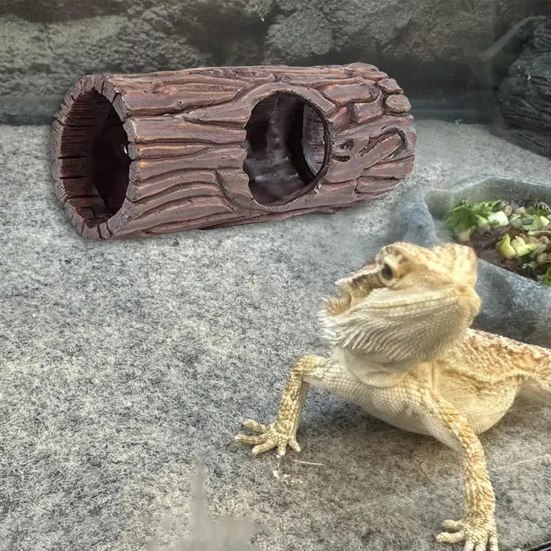 Reptile Hiding Cave