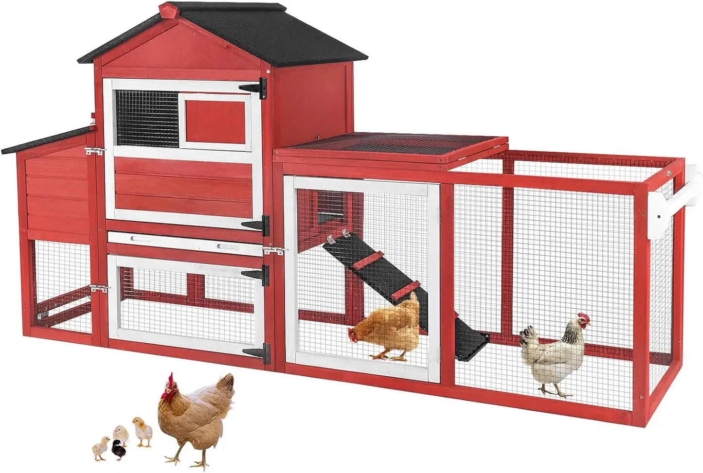 Chicken Coop