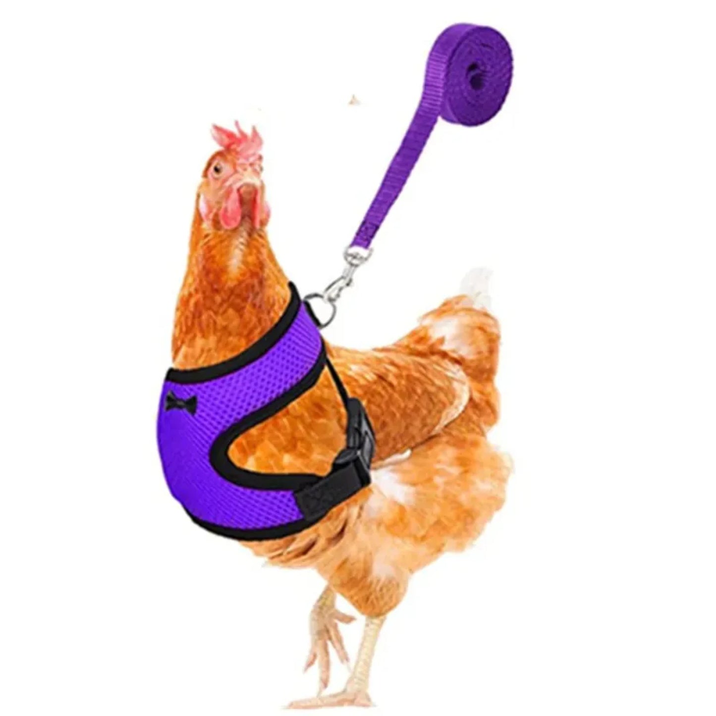 Pet Adjustable Harness Leash Chicken Puppy ducks