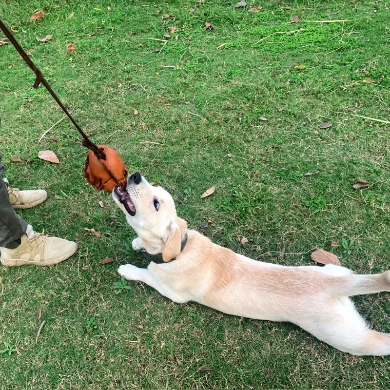 Leather Dog Training Ball Toy