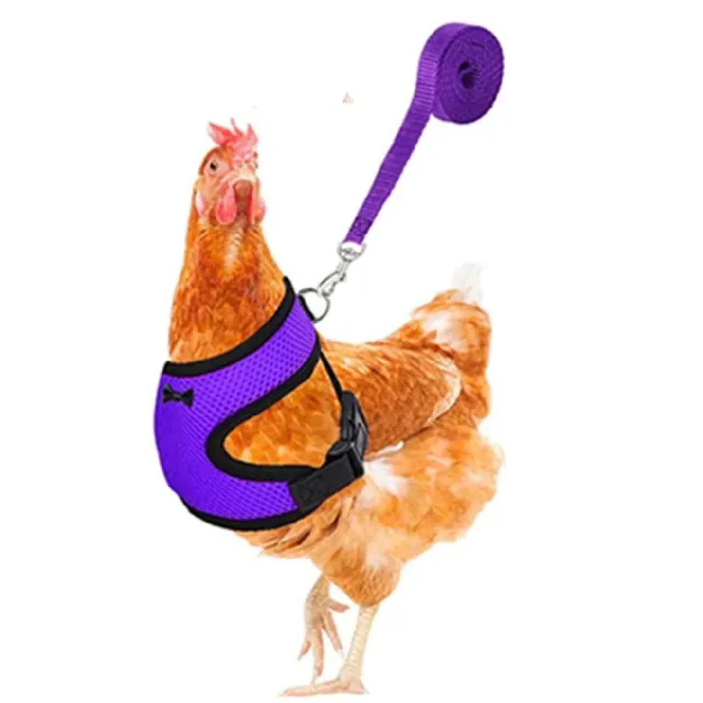 Pet Adjustable Harness Leash Chicken Puppy ducks