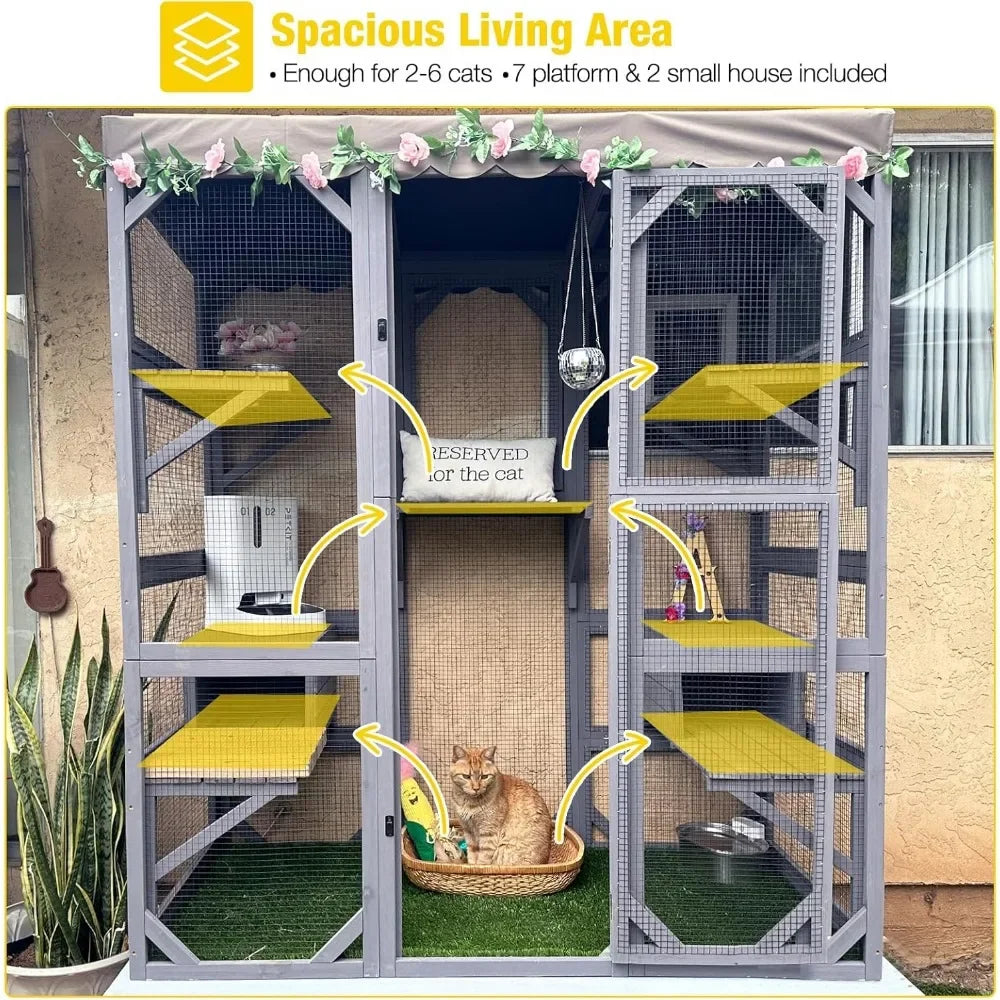 Cat House,