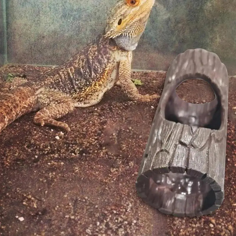 Reptile Hiding Cave