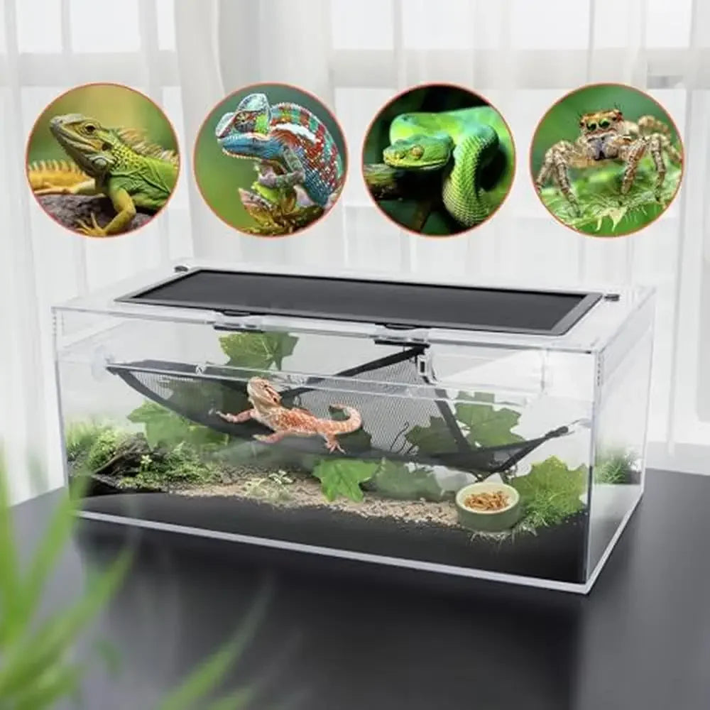 Reptile Terrarium Amphibian Turtle Tank Habitat and Lizards Turtles Snakes Spiders