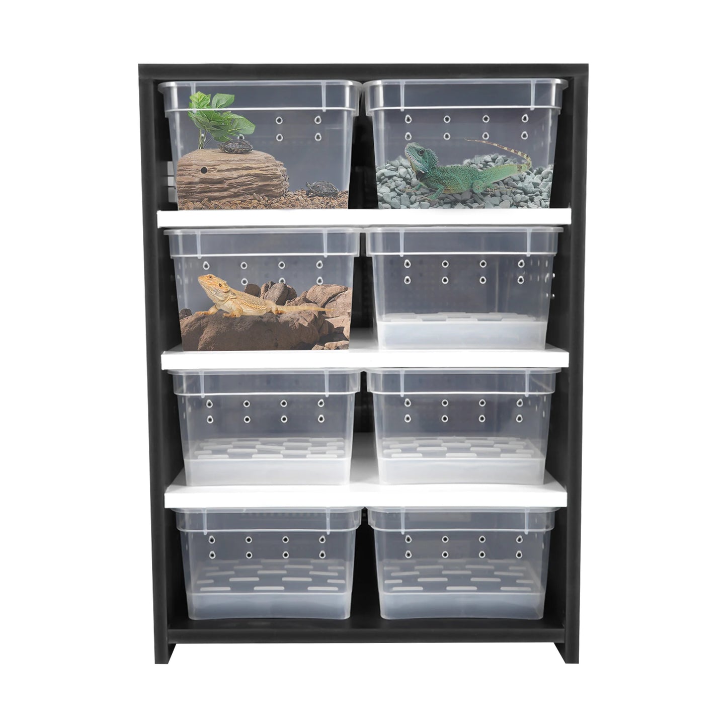 4Tier Reptile Breeding Tank Cabinet with Insect