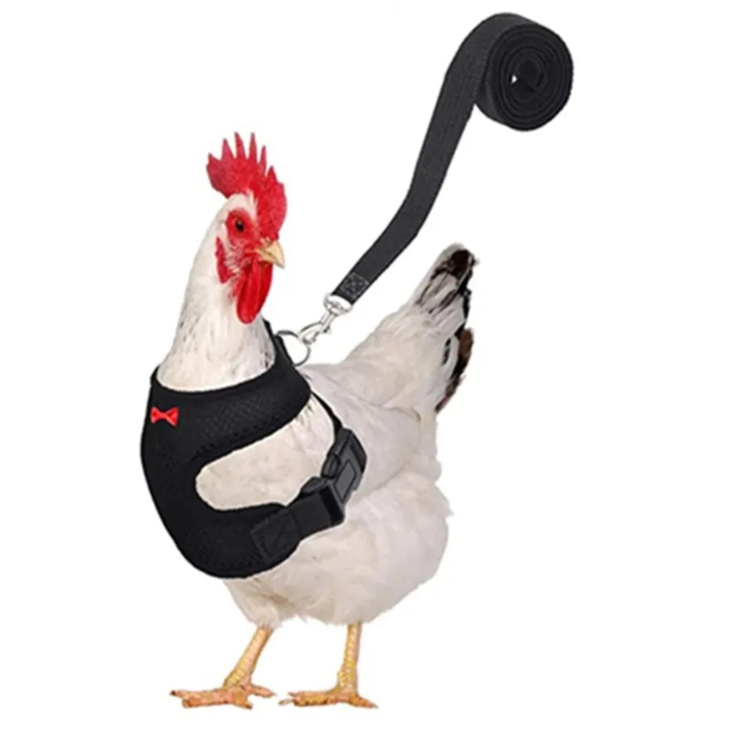 Pet Adjustable Harness Leash Chicken Puppy ducks