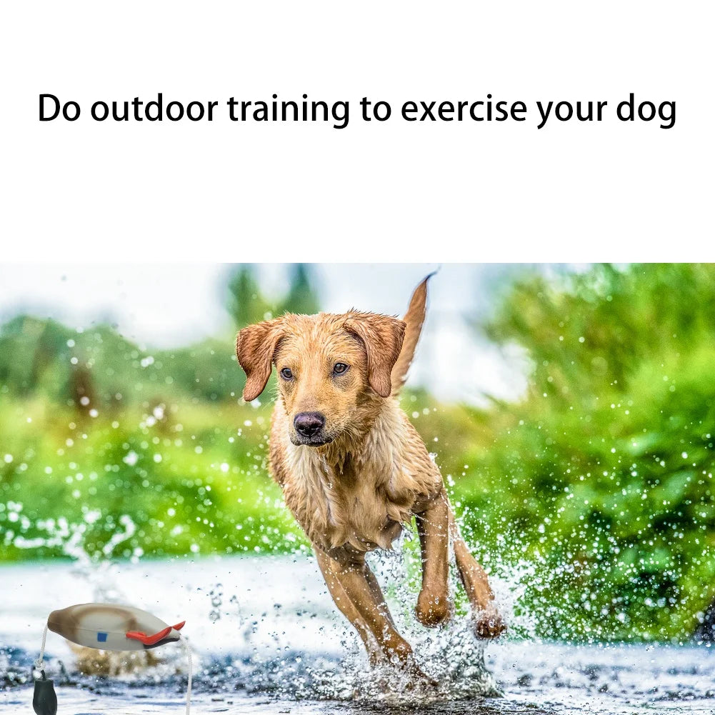 Duck Bumper Toy for Hunting Dogs