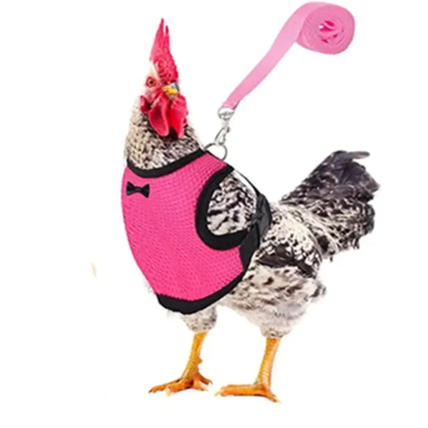 Pet Adjustable Harness Leash Chicken Puppy ducks