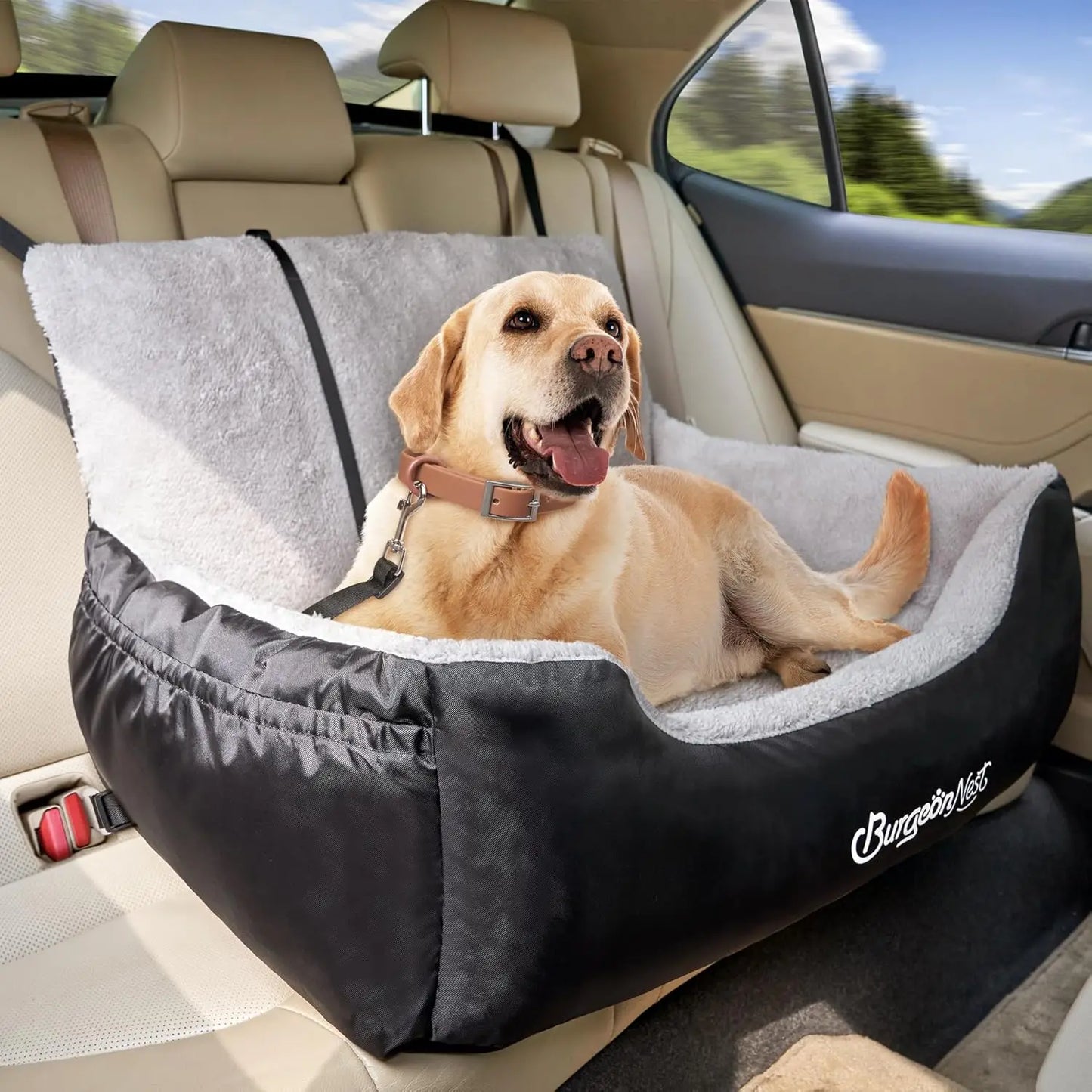 Dog Car Seat for Small Dogs Washable Soft Booster Seat