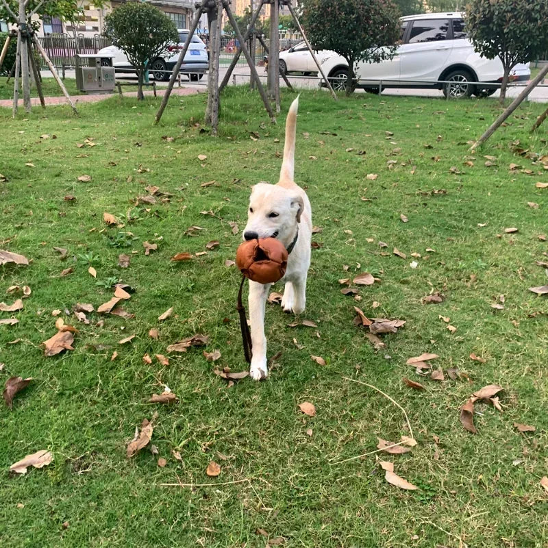 Leather Dog Training Ball Toy