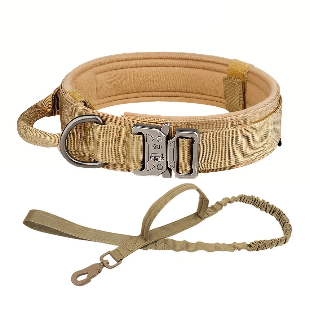 Dog Training Collar Adjustable