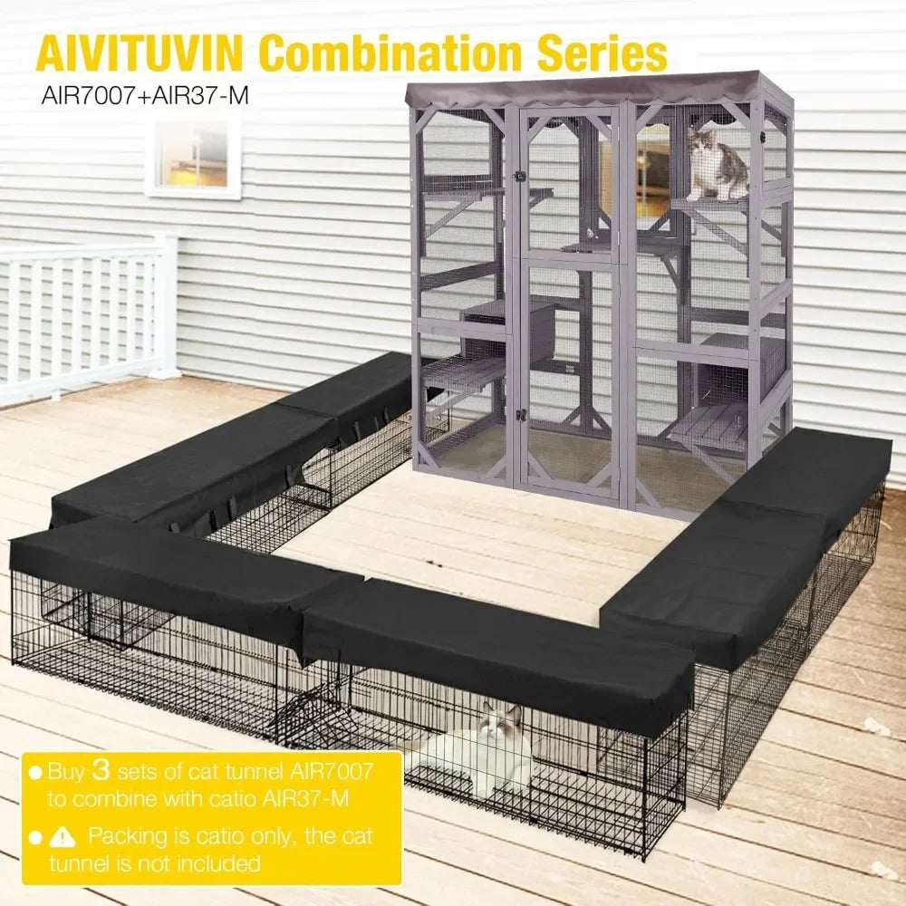 Cat House,