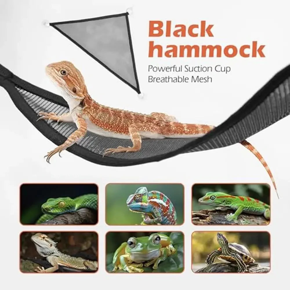 Reptile Terrarium Amphibian Turtle Tank Habitat   and  Lizards Turtles Snakes Spiders