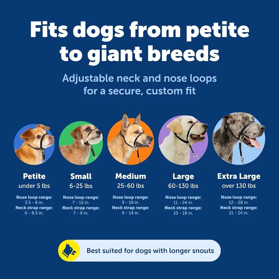 Gentle Leader Headcollar NoPull Dog Collar for Improved Walking Experience Durable Nylon Construction with Padded Nose Loop and