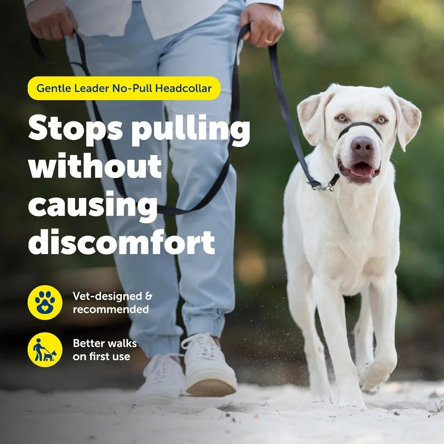 Gentle Leader Headcollar NoPull Dog Collar for Improved Walking Experience Durable Nylon Construction with Padded Nose Loop and