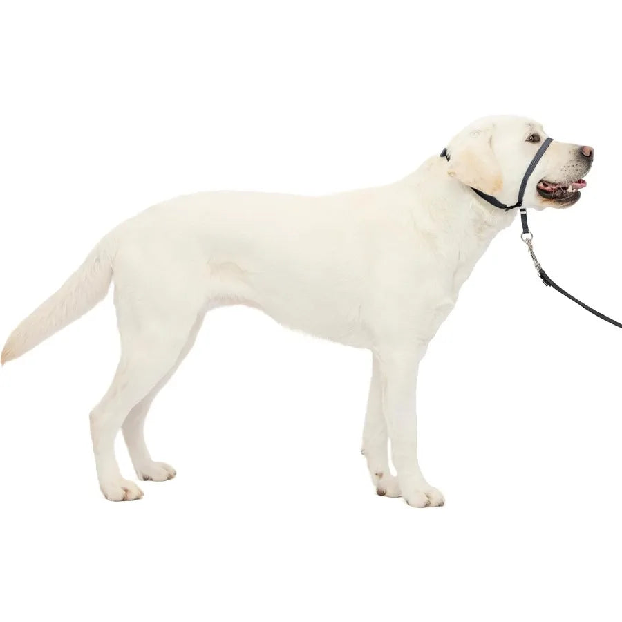 Gentle Leader Headcollar NoPull Dog Collar for Improved Walking Experience Durable Nylon Construction with Padded Nose Loop and