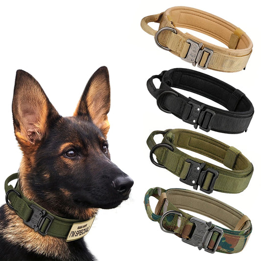 Dog Training Collar Adjustable