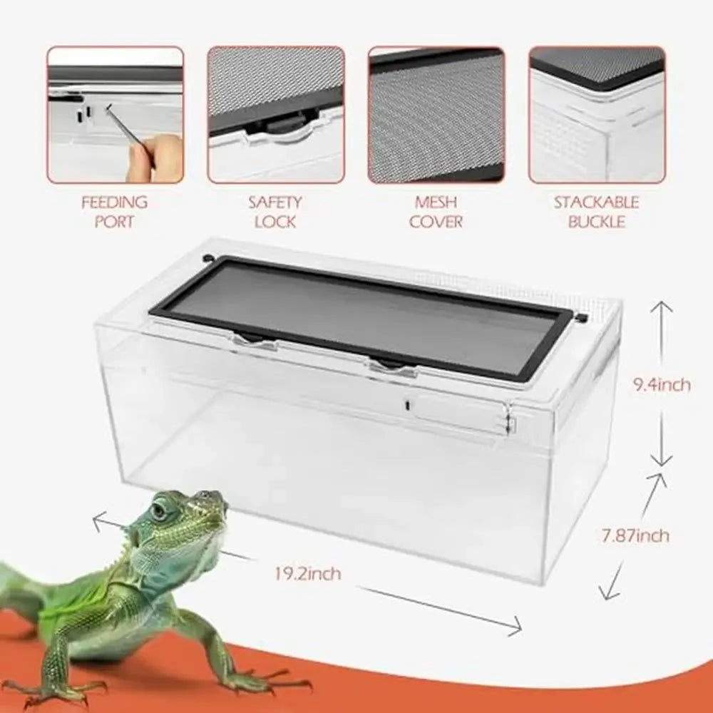 Reptile Terrarium Amphibian Turtle Tank Habitat   and  Lizards Turtles Snakes Spiders