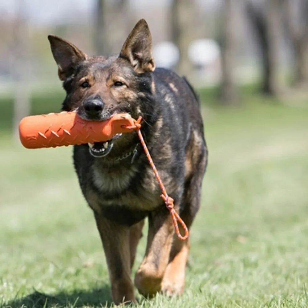 KONG Training Dummy Rope Bumper Dog Toy - Durable Floating Retriever for Fetch & Training - 2 Pack (Orange, Extra Large)