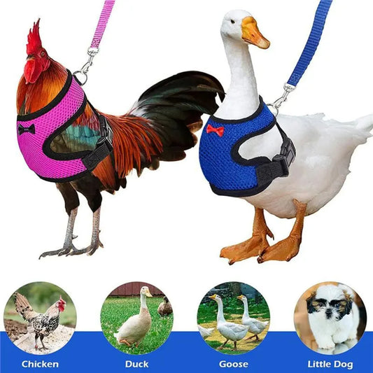 Pet Adjustable Harness Leash  Chicken Puppy ducks
