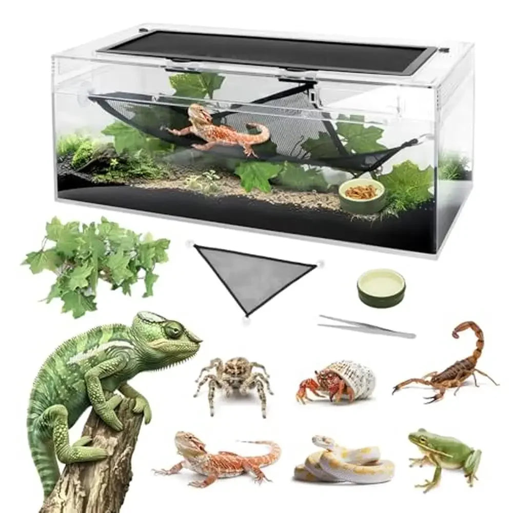 Reptile Terrarium Amphibian Turtle Tank Habitat   and  Lizards Turtles Snakes Spiders