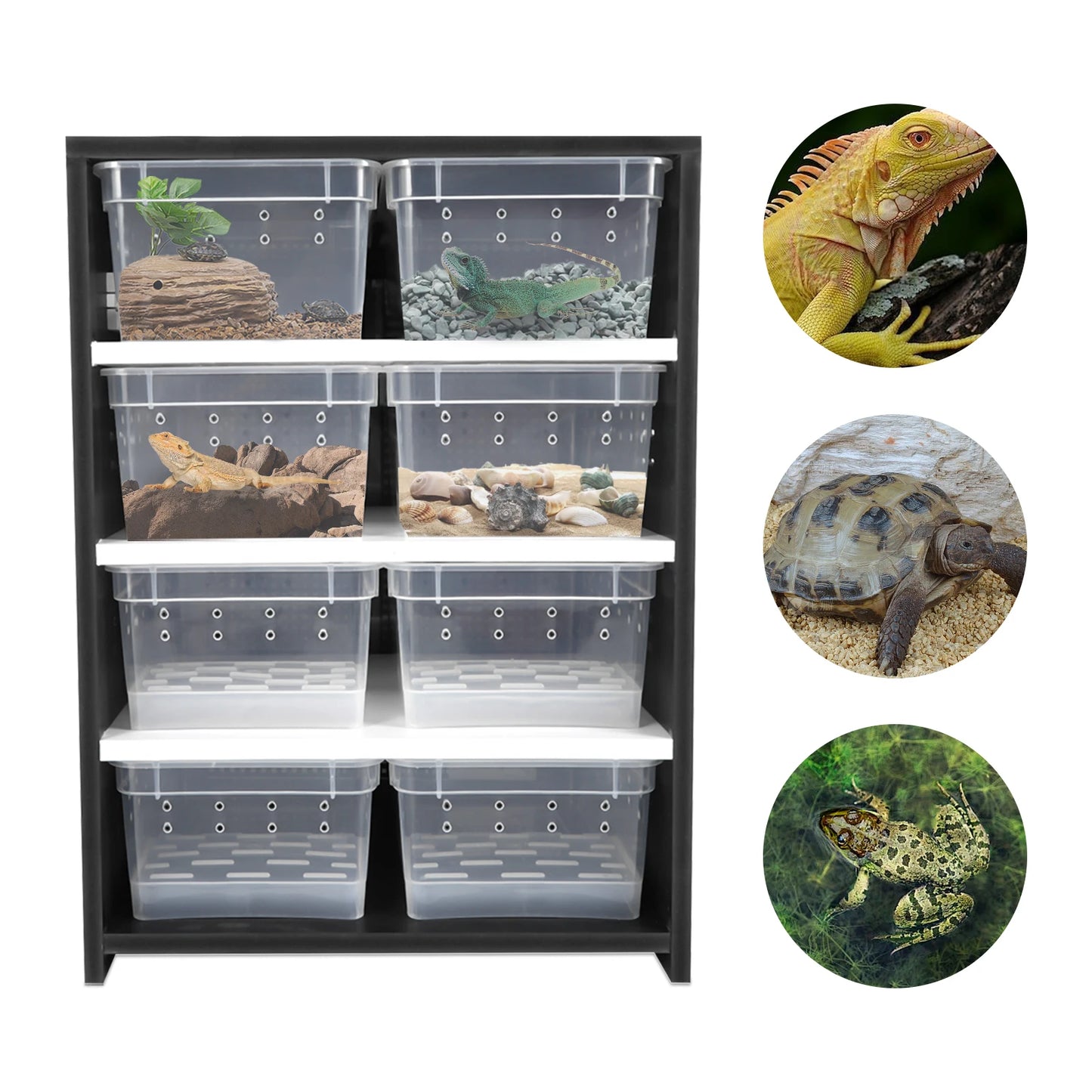 4Tier Reptile Breeding Tank Cabinet with Insect