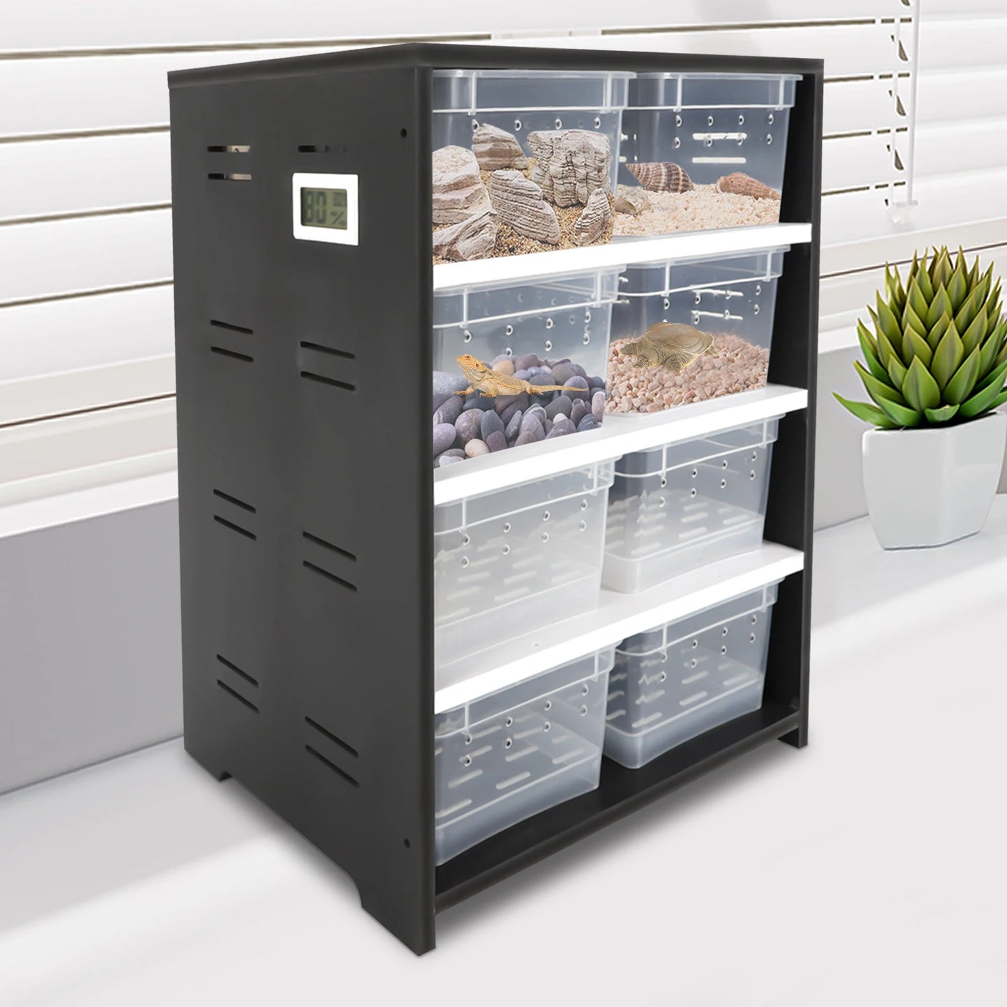 4Tier Reptile Breeding Tank Cabinet with Insect