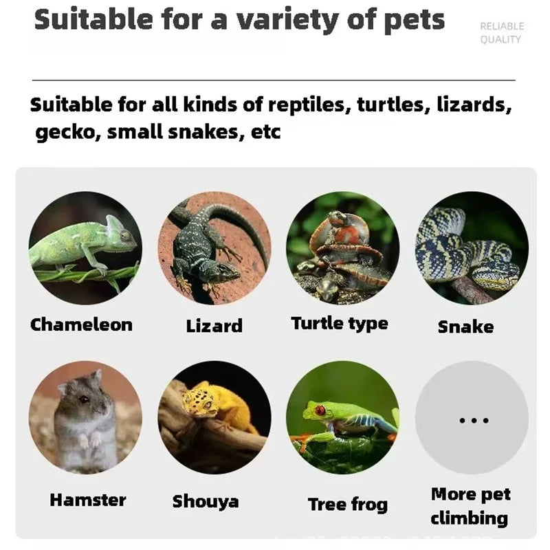 Reptile Tank Portable Breeding Box